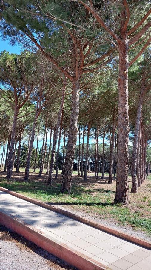 Cocon De Douceur A 10 Min De La Plage Alenya Luaran gambar